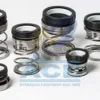 Mechanical Seals