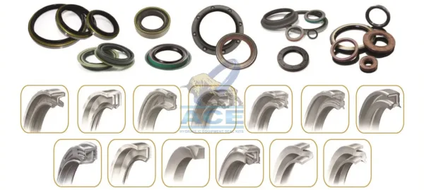 Oil Seals