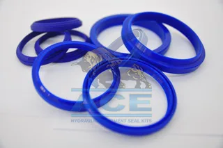 Hydraulic Seals